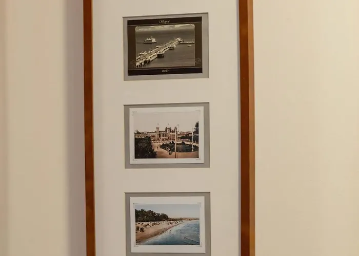 Apartment Family In The Centre By Renters